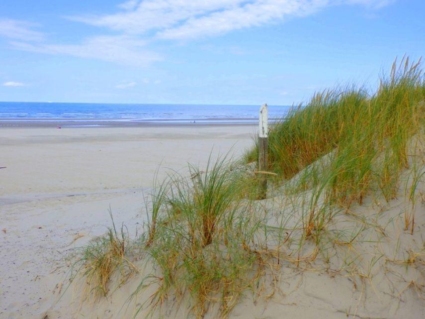Aphrodite Met Zonnig Terras, Eigen Keuken, Verwarmd Hotel-Zwembad, Nabij Dorp, Duinen En Strand Hollum  Exteriör bild