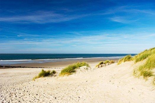 Aphrodite Met Zonnig Terras, Eigen Keuken, Verwarmd Hotel-Zwembad, Nabij Dorp, Duinen En Strand Hollum  Exteriör bild