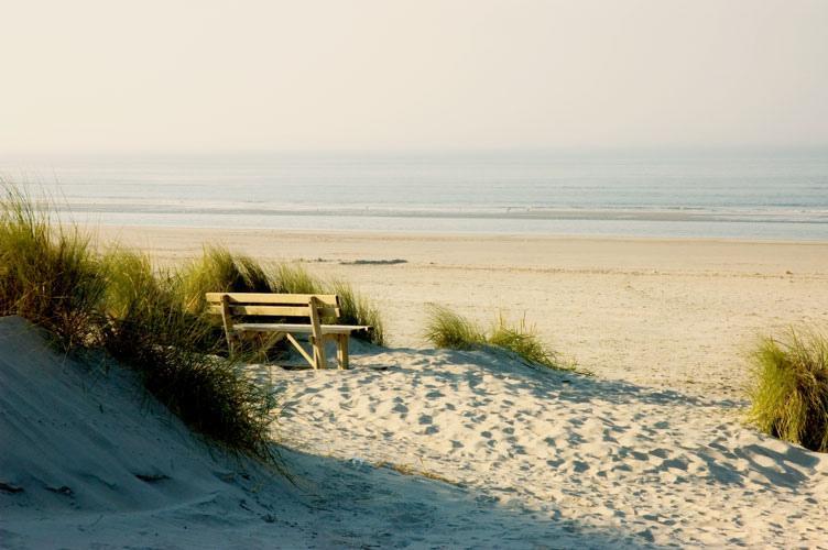 Aphrodite Met Zonnig Terras, Eigen Keuken, Verwarmd Hotel-Zwembad, Nabij Dorp, Duinen En Strand Hollum  Exteriör bild