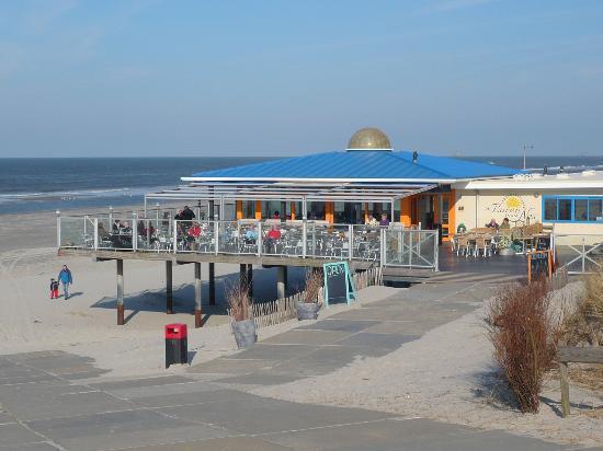 Aphrodite Met Zonnig Terras, Eigen Keuken, Verwarmd Hotel-Zwembad, Nabij Dorp, Duinen En Strand Hollum  Exteriör bild